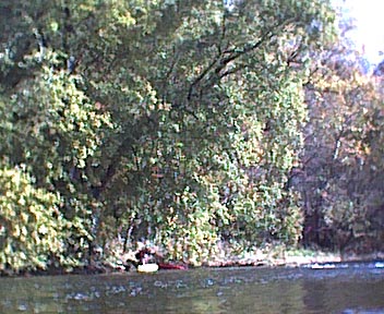  Conodoguinet Creek.