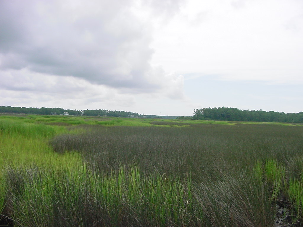 This is the view accross the Lockwood Folly River from the lot.