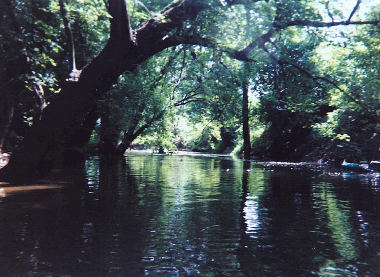  Little Juniata Creek.