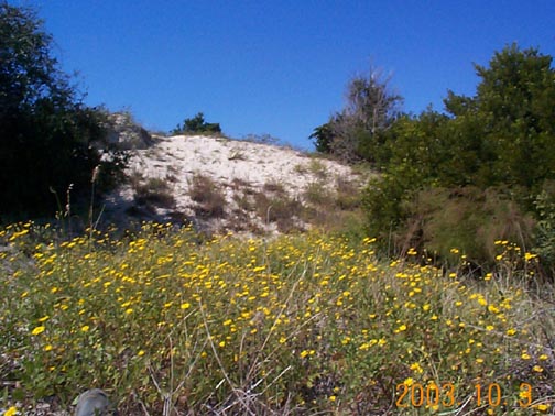 Bear Island.