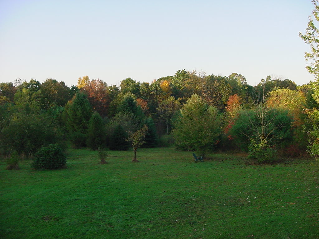 View from the dining room window.