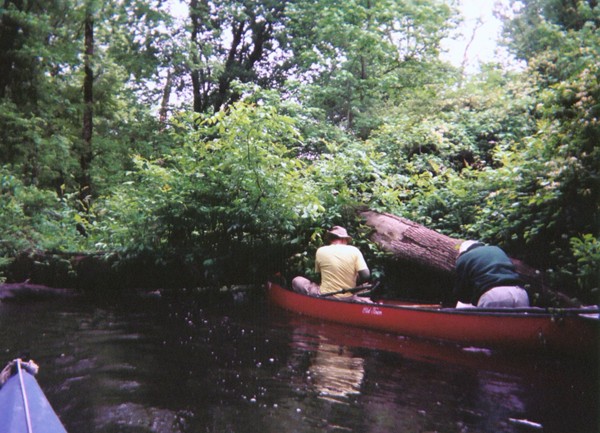  Southwest Creek kayak trip.