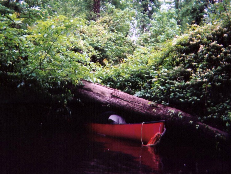  Southwest Creek kayak trip.