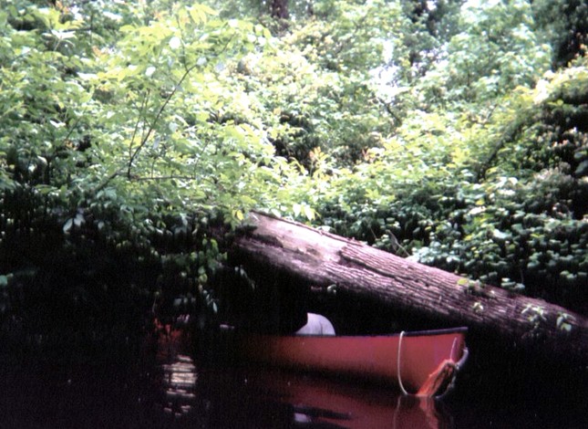  Southwest Creek kayak trip.
