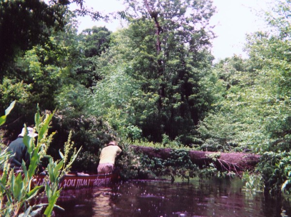  Southwest Creek kayak trip.