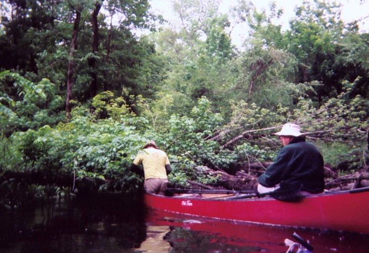  Southwest Creek kayak trip.
