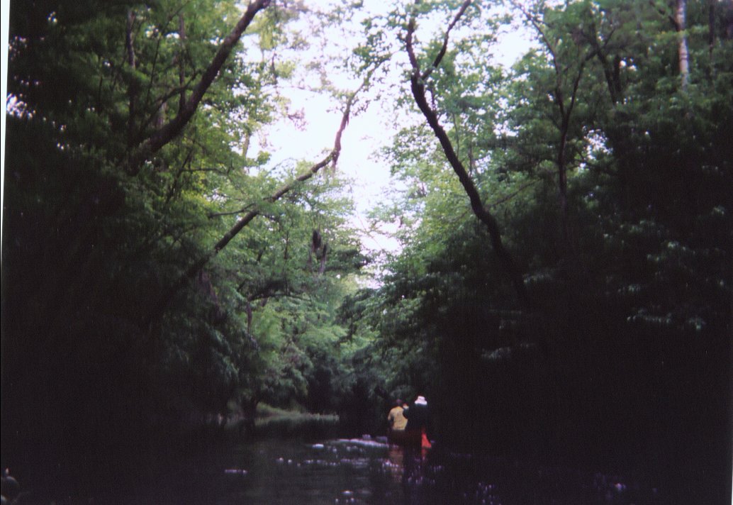  Southwest Creek kayak trip.