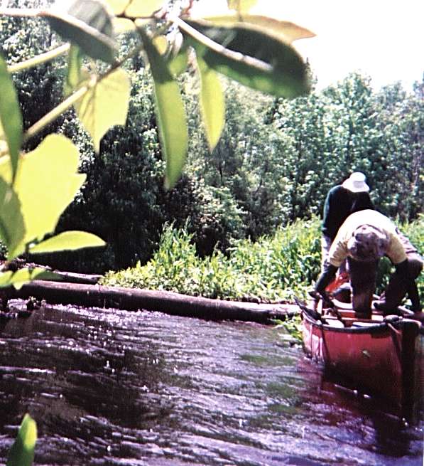  Southwest Creek kayak trip.