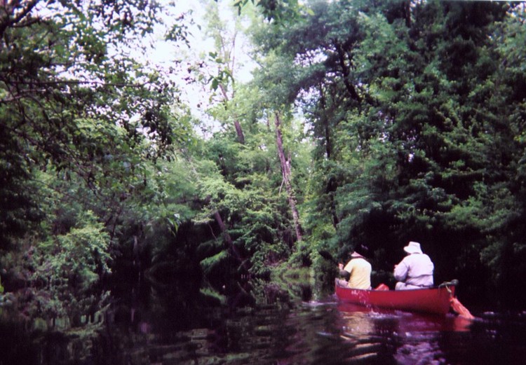  Southwest Creek kayak trip.