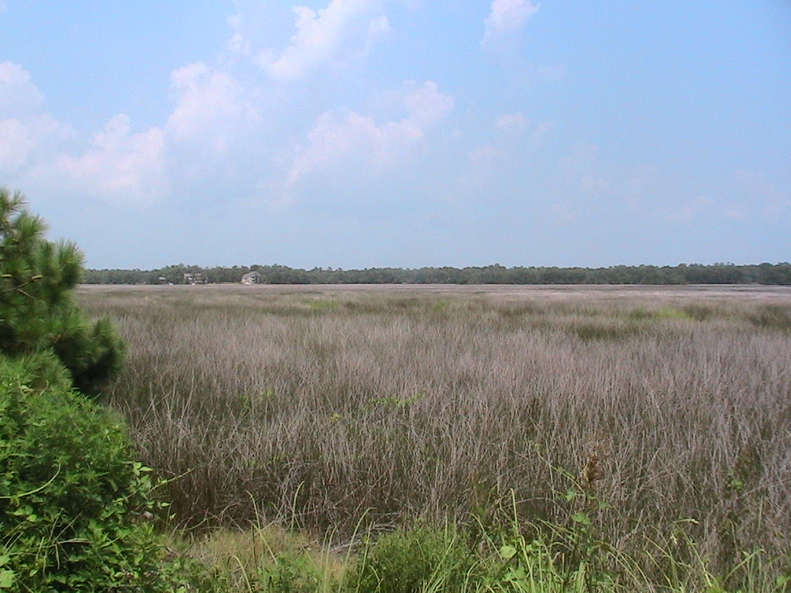 This is the view accross the Lockwood Folly River from the lot.