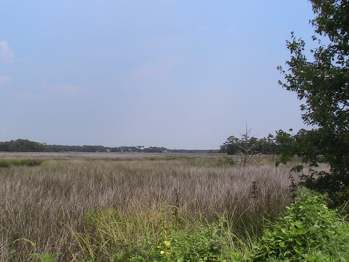 This is the view accross the Lockwood Folly River from the lot.