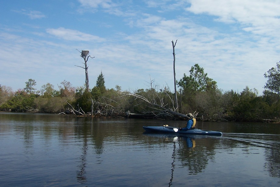  Southwest Creek kayak trip.