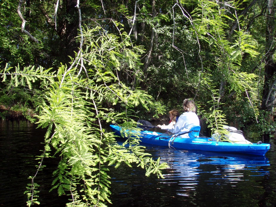  Waccamaw River.