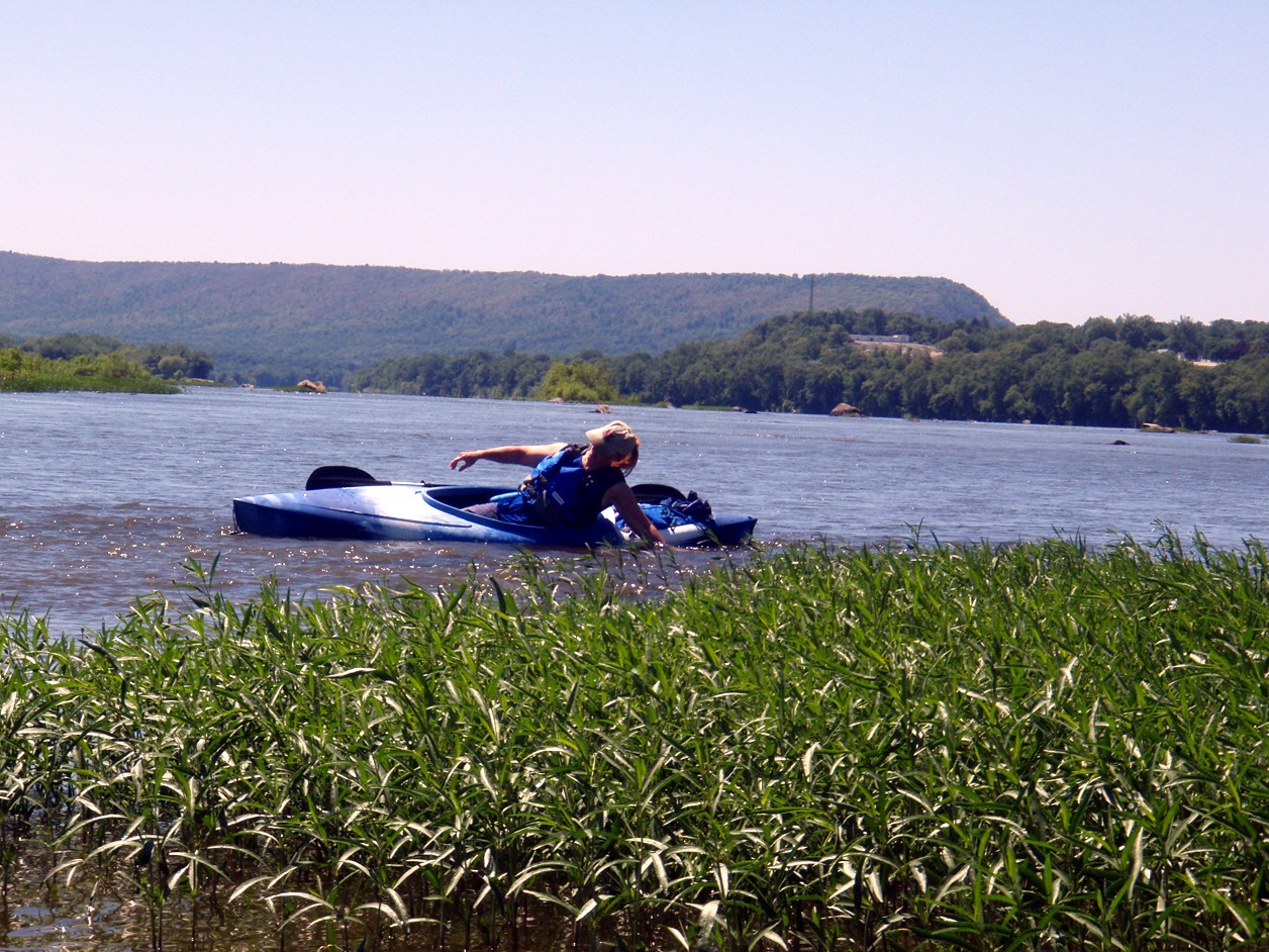  Susquehanna River.