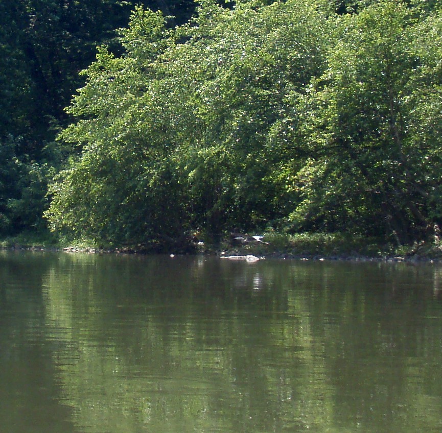  Juniata River.