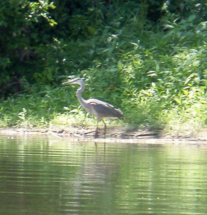  Juniata River.