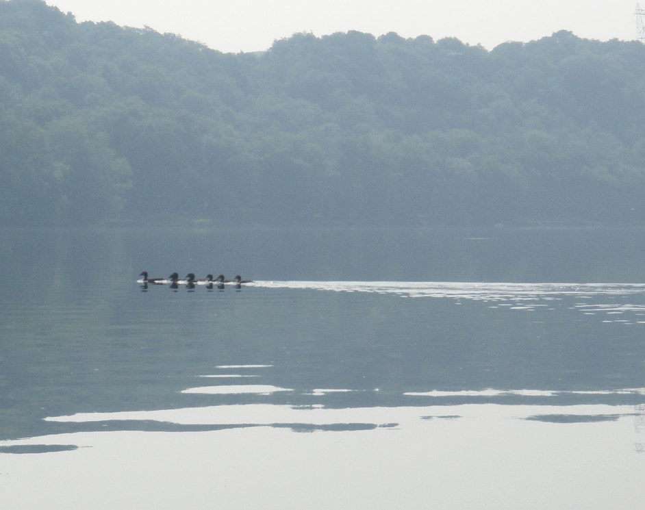  Juniata River.