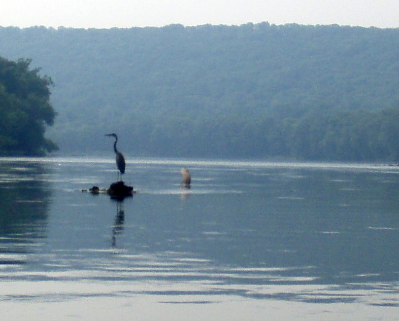  Juniata River.