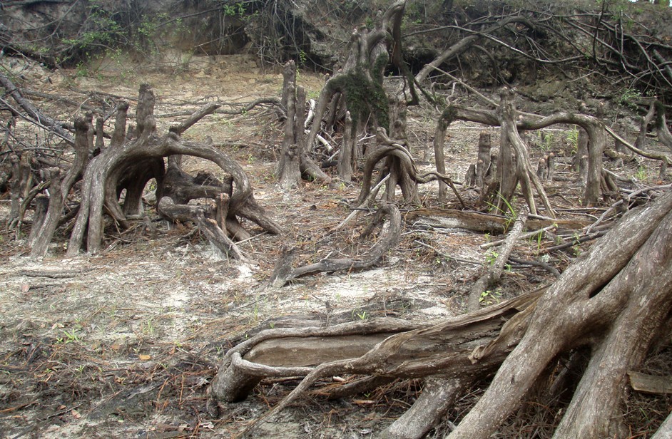  Waccamaw River.