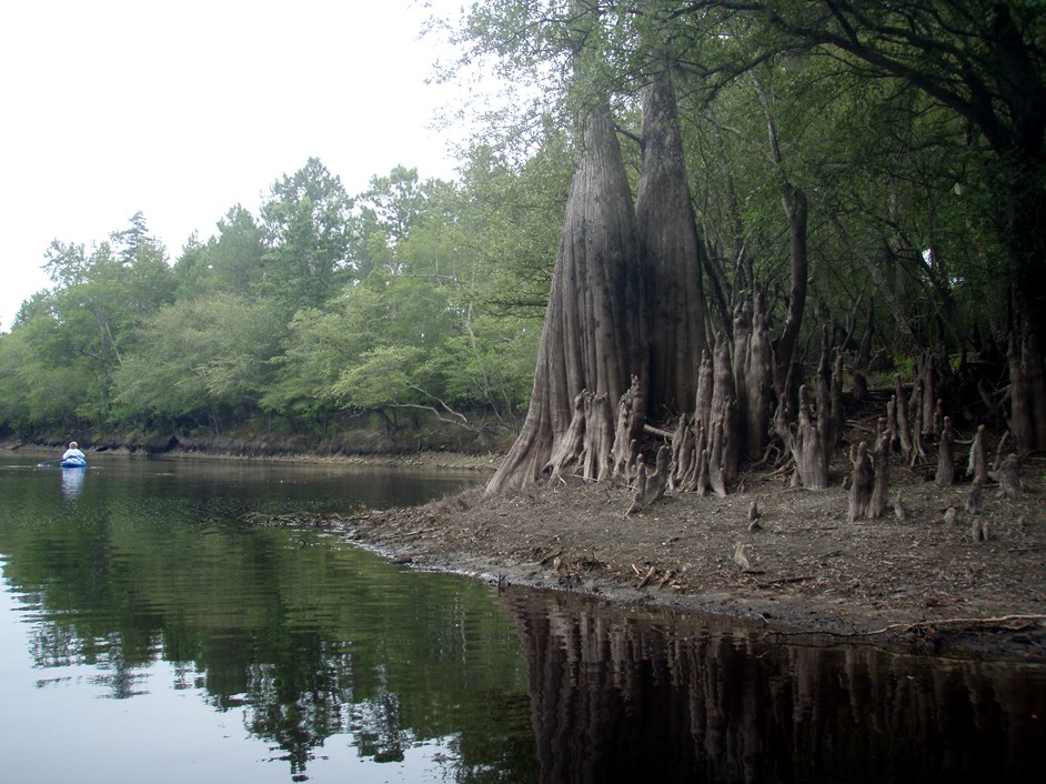  Waccamaw River.