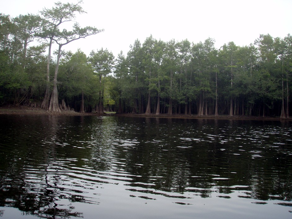  Waccamaw River.