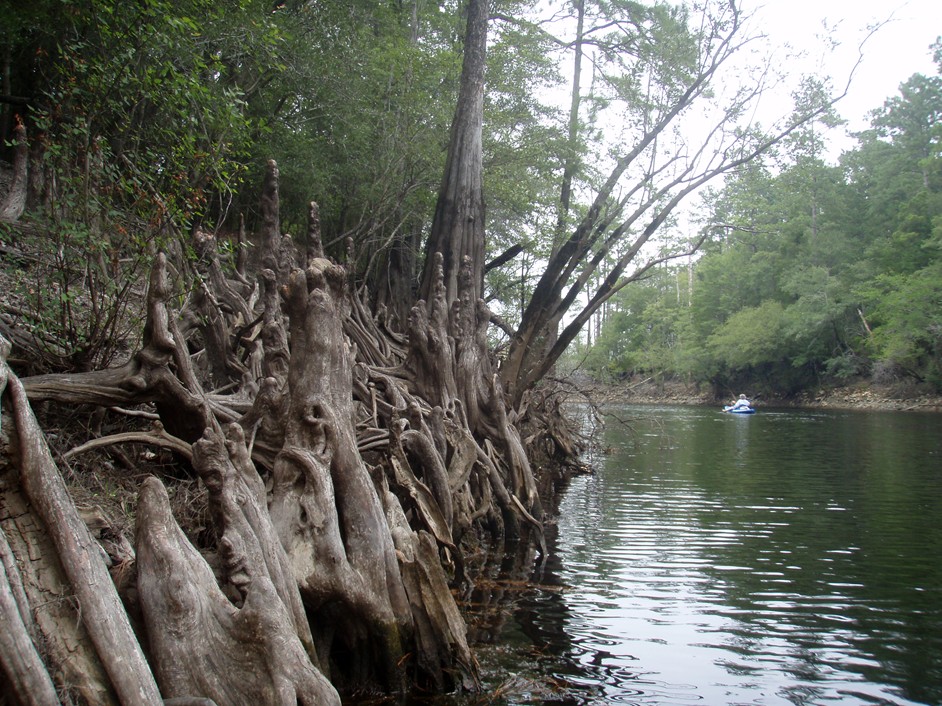  Waccamaw River.