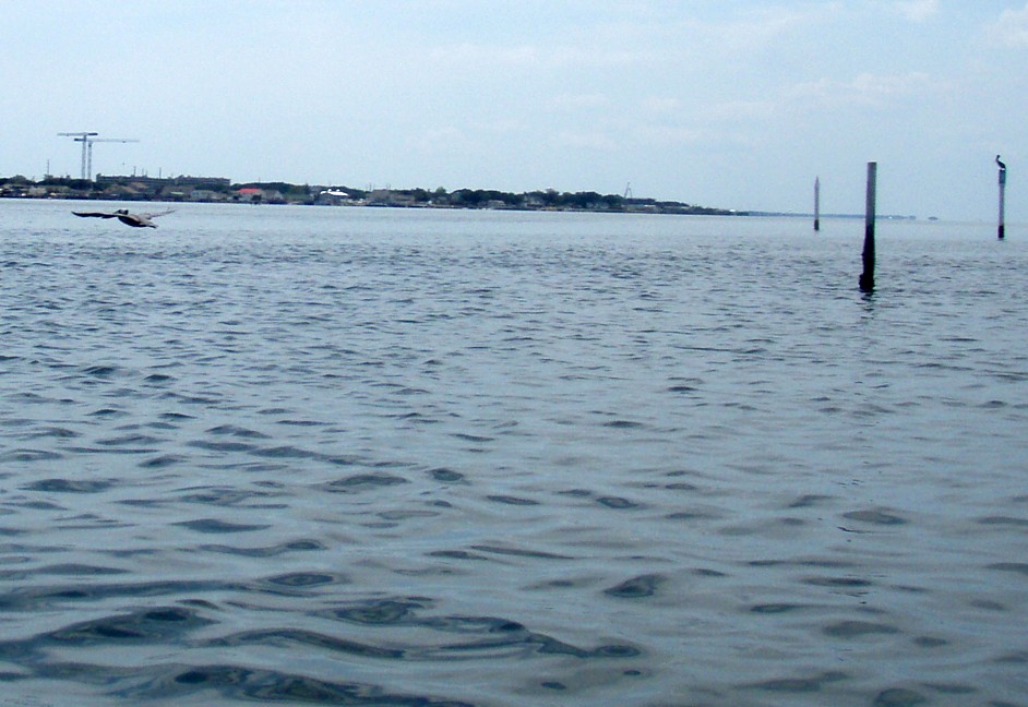  Bogue Sound canoe and kayak trip.