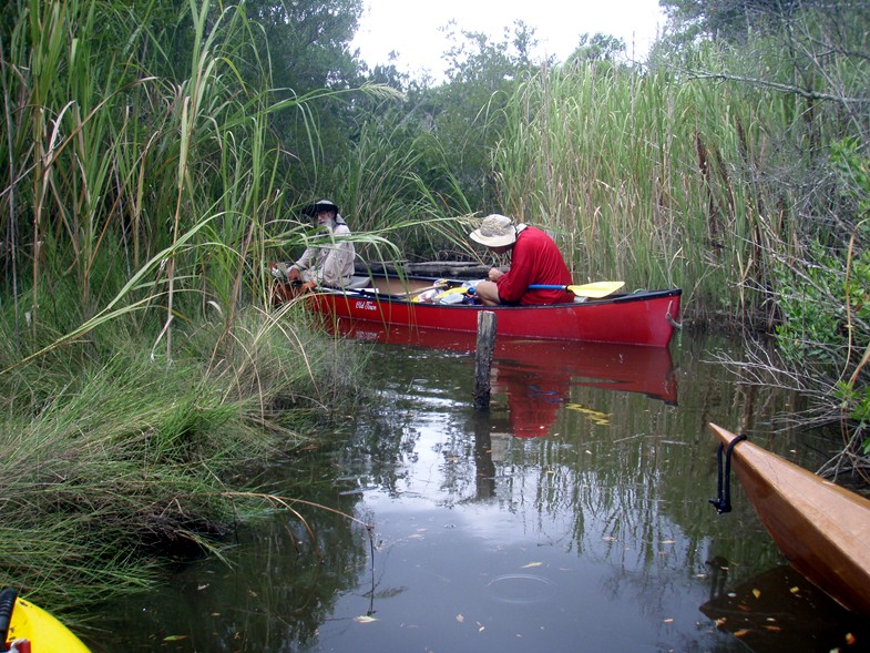  Queen's Creek canoe and kayak trip.