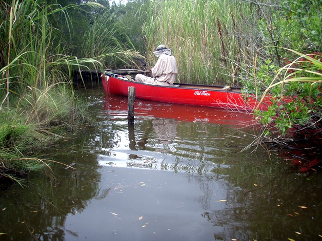 Queen's Creek canoe and kayak trip.