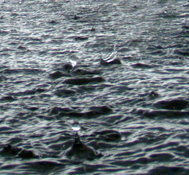  Queen's Creek canoe and kayak trip.