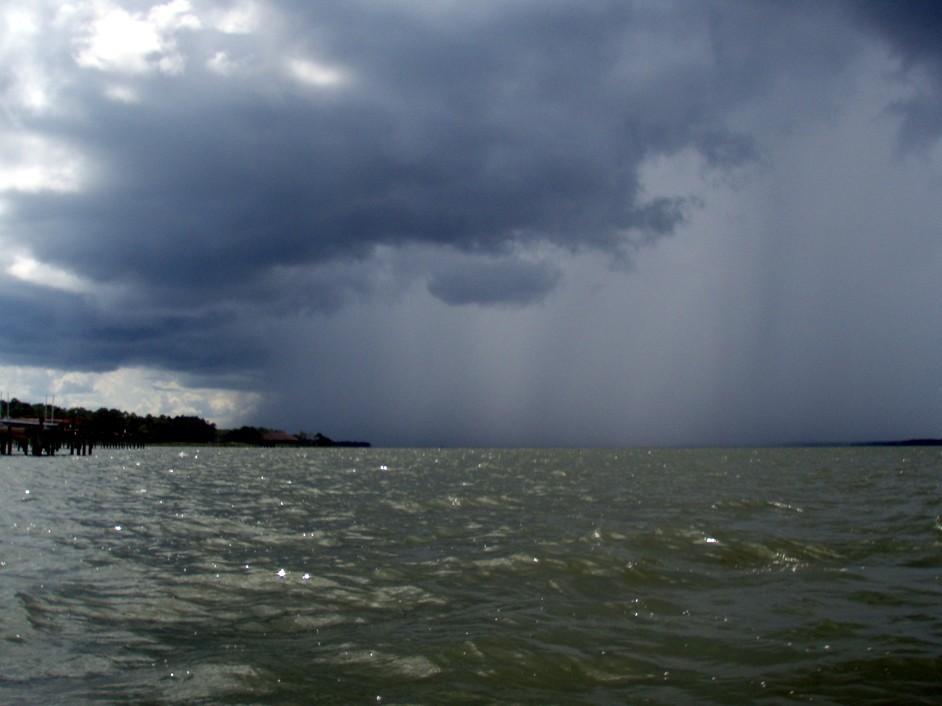 Bogue Sound kayak trip.
