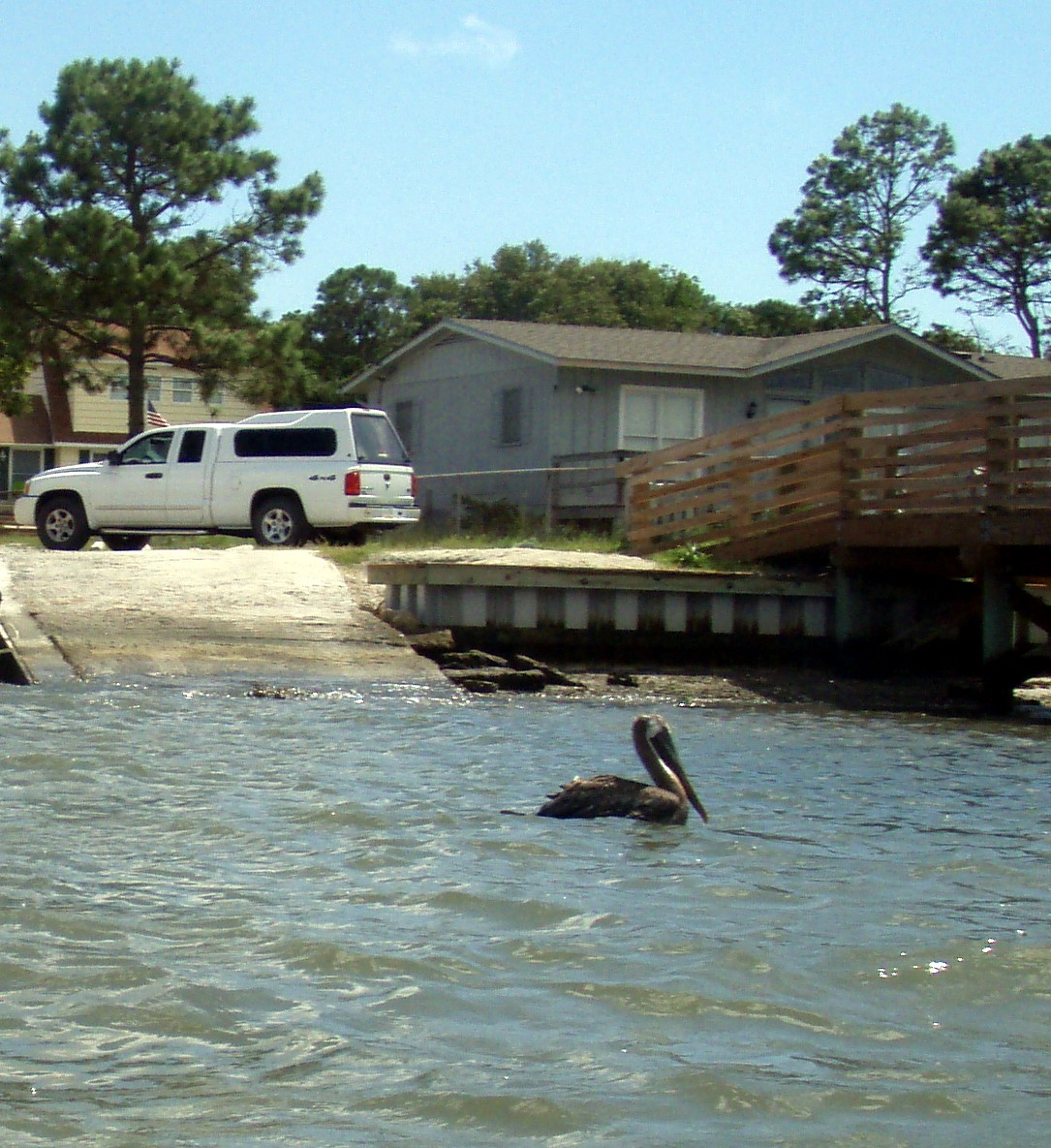  This Pelican has a broken wing.