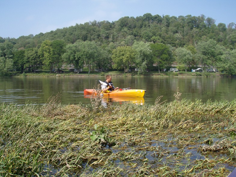  Juniata River.