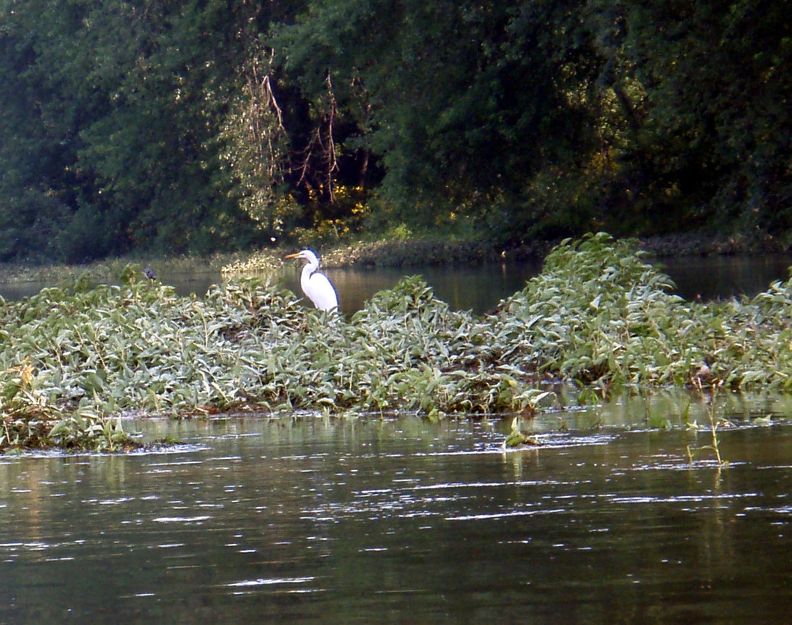  Juniata River.