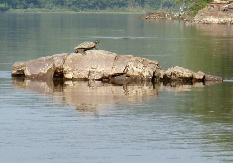  Juniata River.