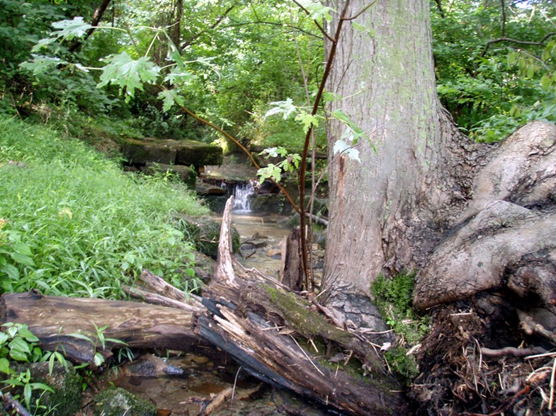  Juniata River.