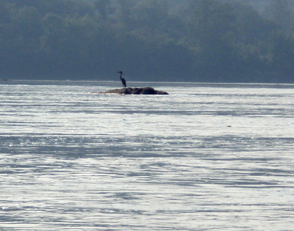  Susquehanna River.