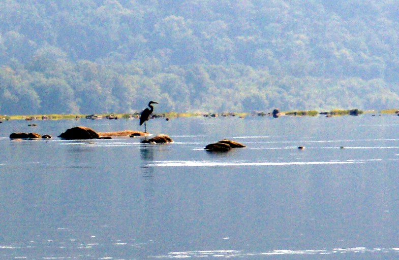  Susquehanna River.