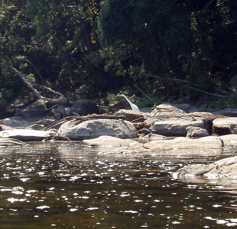  Susquehanna River.