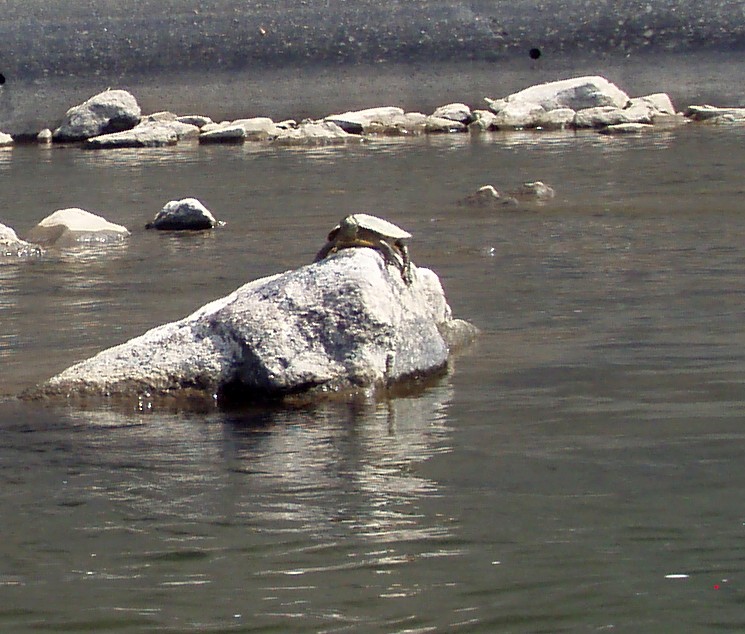  Susquehanna River.