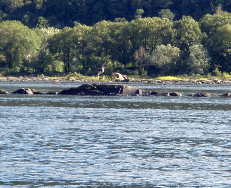  Susquehanna River.