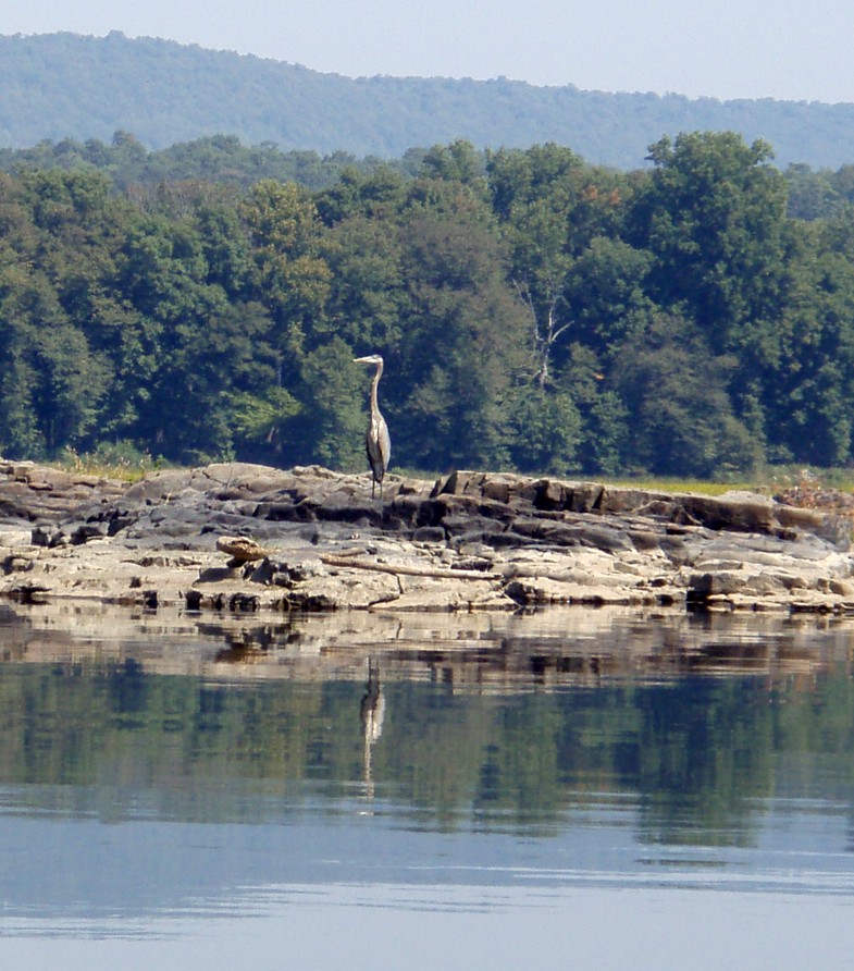  Susquehanna River.