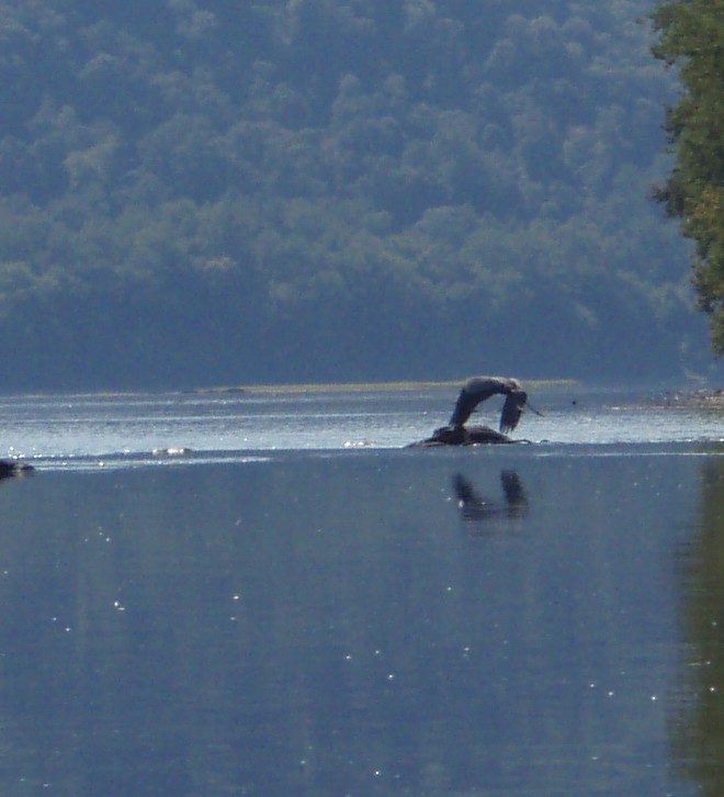  Susquehanna River.