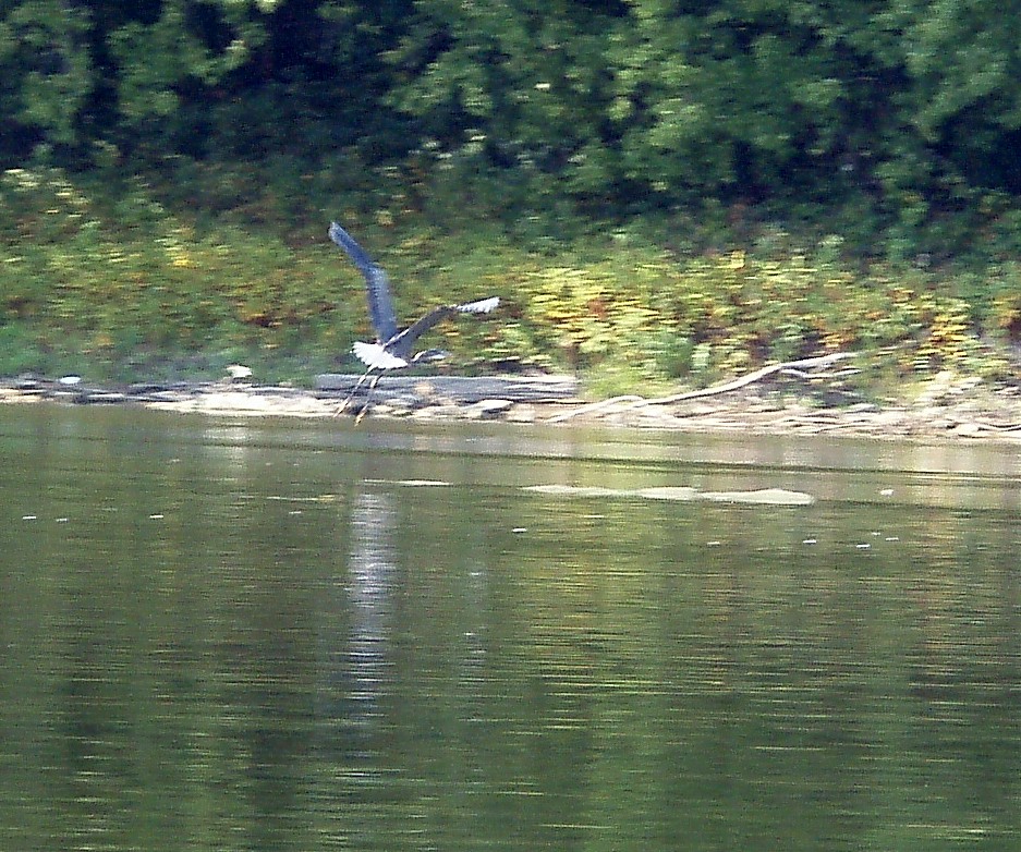  Susquehanna River.