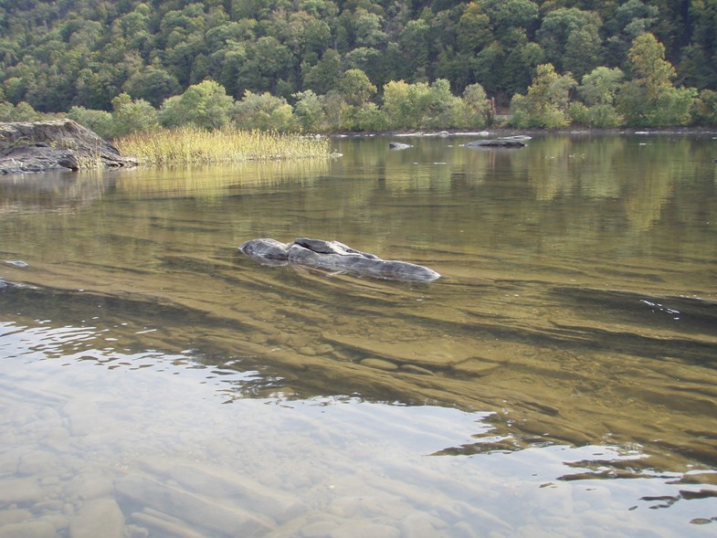  Susquehanna River.