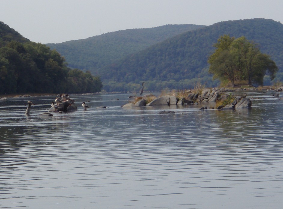  Susquehanna River.