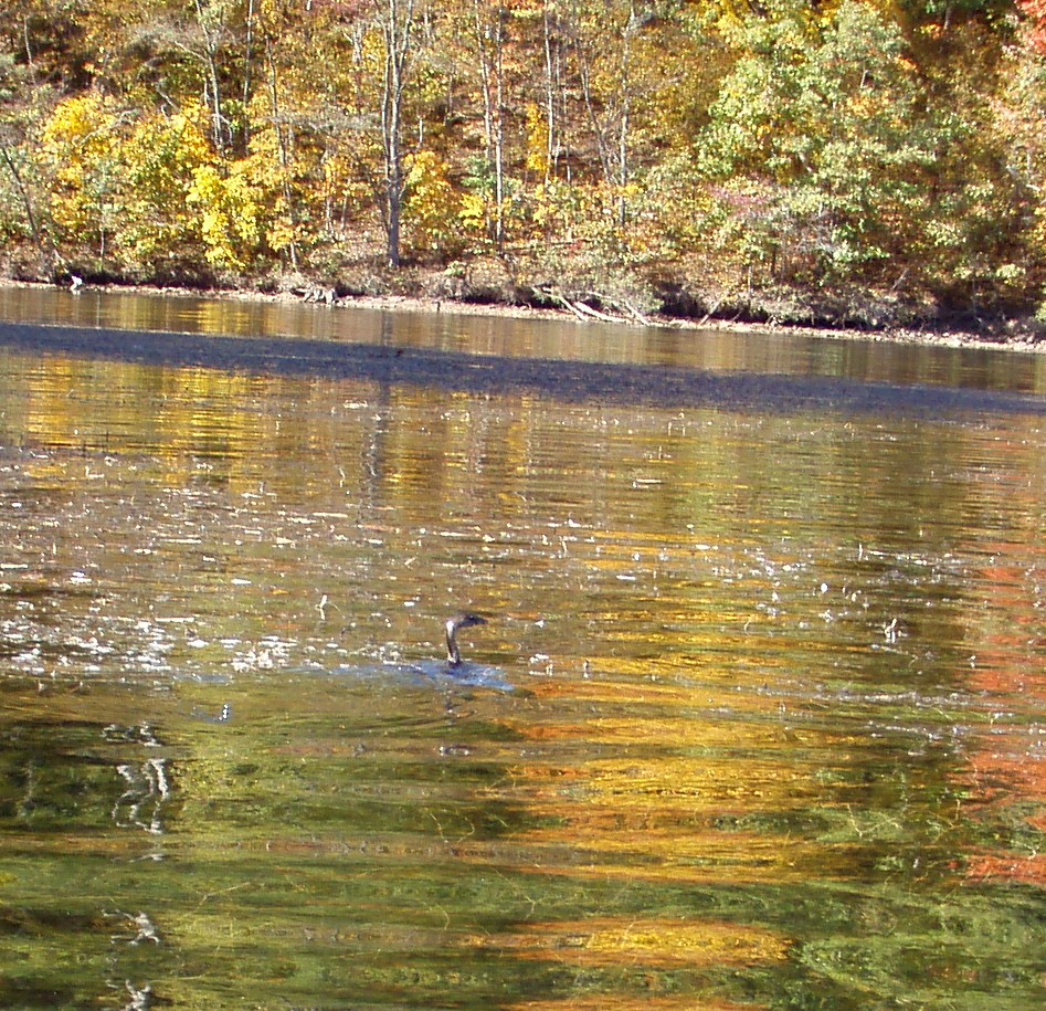  Kayak Raystown Lake.