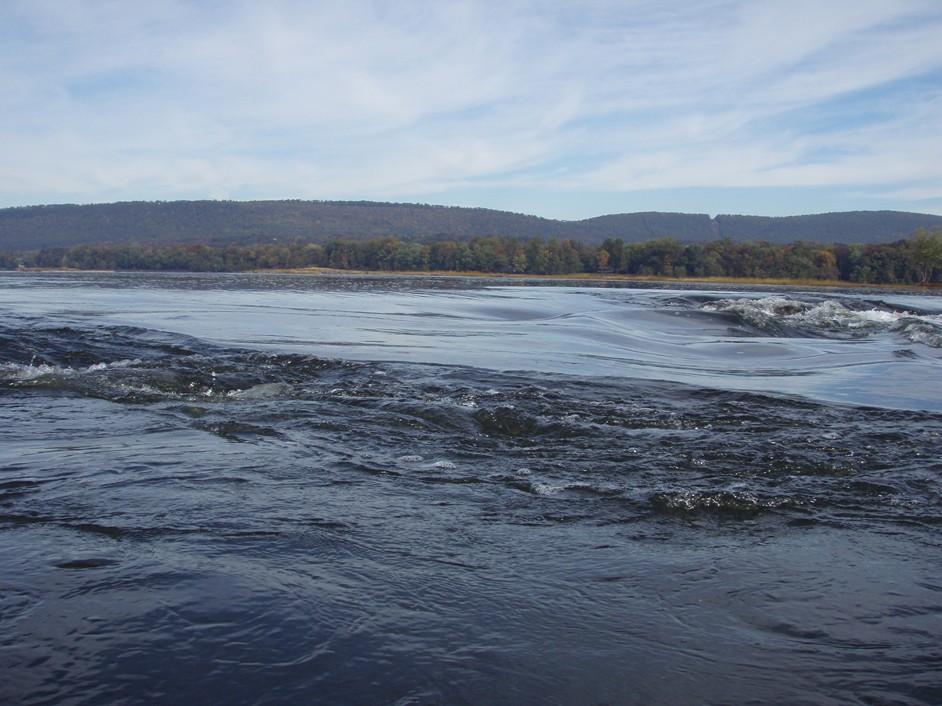  Kayak the Susquehanna River.