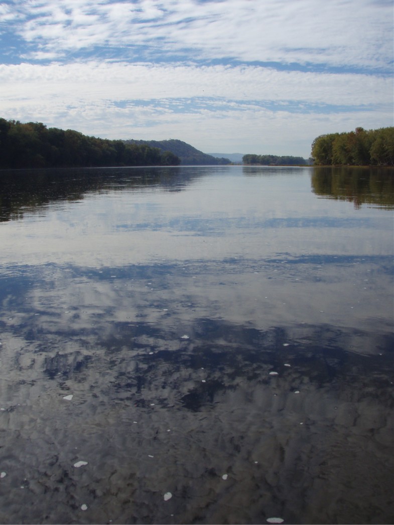  Kayak the Susquehanna River.