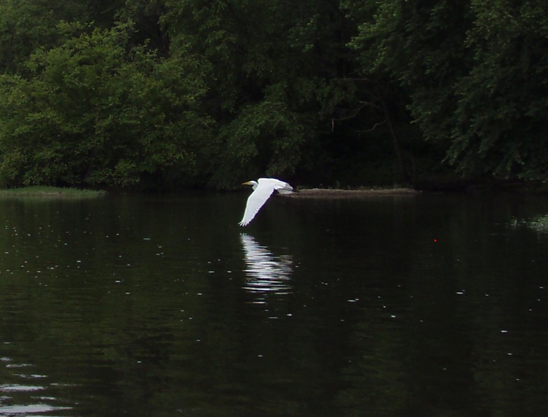  Juniata River.